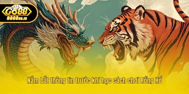 Nắm bắt thông tin trước khi học cách chơi Rồng Hổ