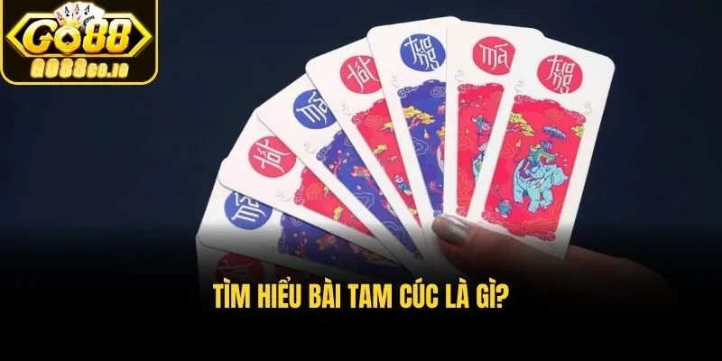 Tìm hiểu Bài Tam Cúc là gì?