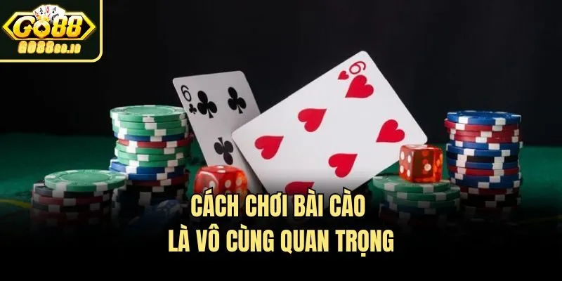 Cách chơi bài cào là vô cùng quan trọng
